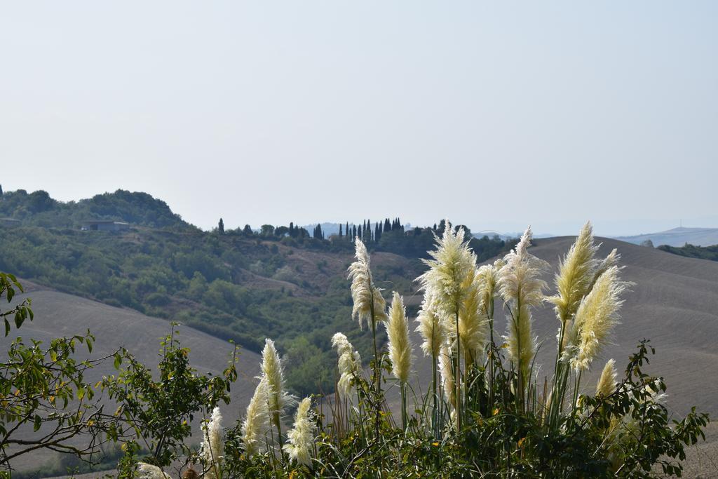 Appartamento Crete Senesi Castelnuovo Berardenga Ngoại thất bức ảnh