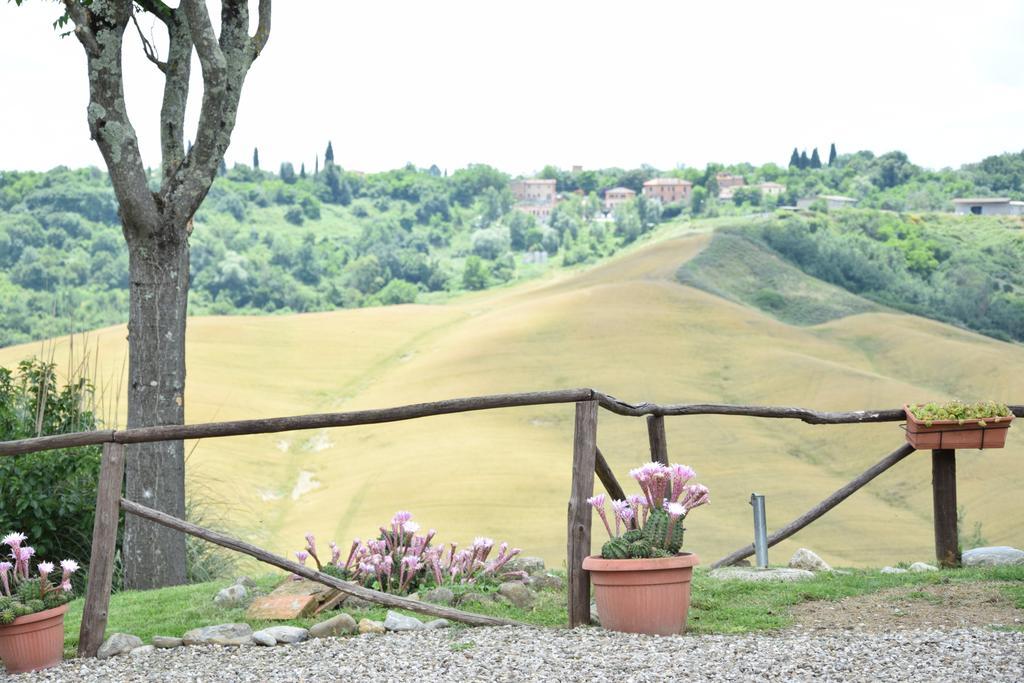 Appartamento Crete Senesi Castelnuovo Berardenga Ngoại thất bức ảnh