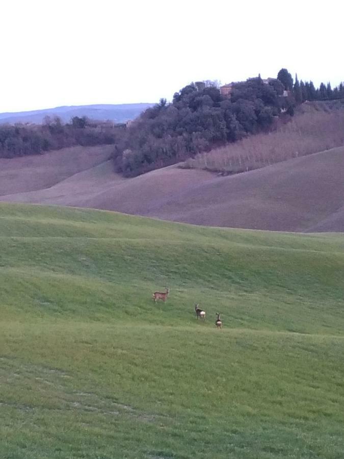 Appartamento Crete Senesi Castelnuovo Berardenga Ngoại thất bức ảnh